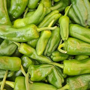 Pimiento Padrón