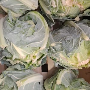 Coliflor