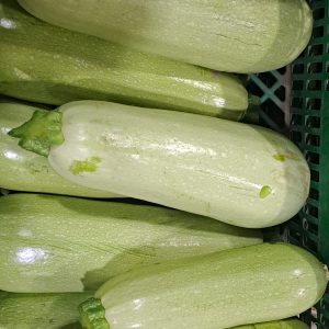 Calabacín Blanco