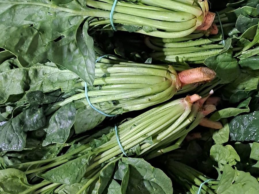 Espinaca Fresca