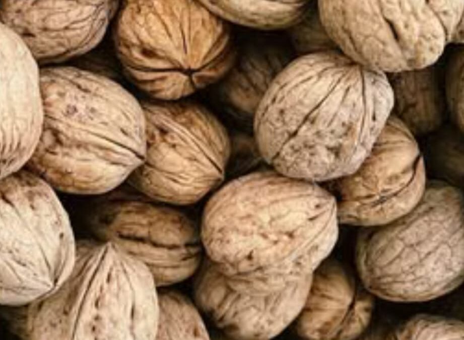 Nueces